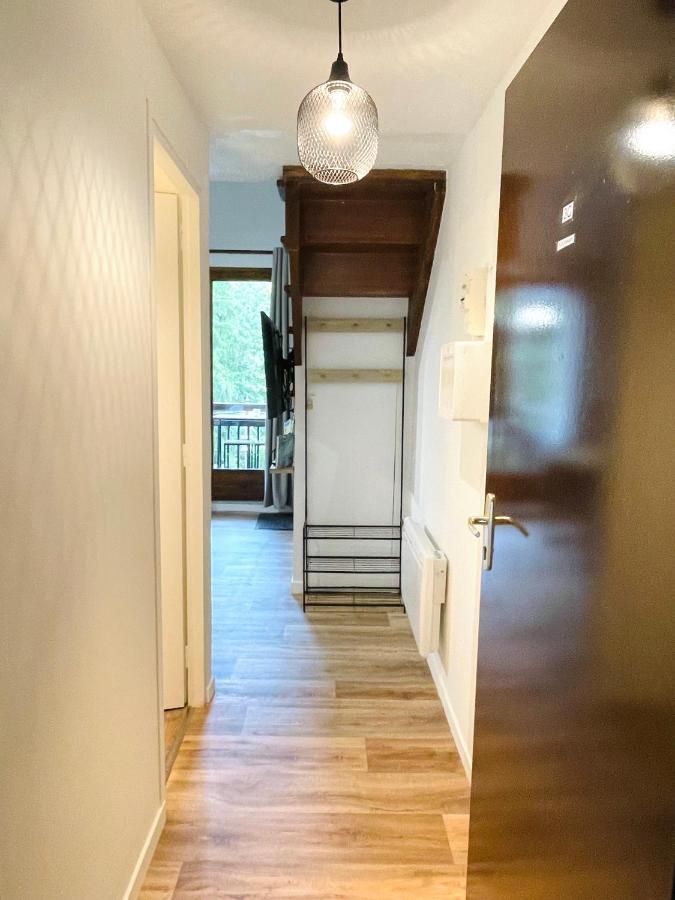 Duplex Du Pailhet, T3 Neuf, Vue Montagne, Parking, Navette Et 2 Velos A Disposition Gratuitement Bagnères-de-Luchon Exterior foto